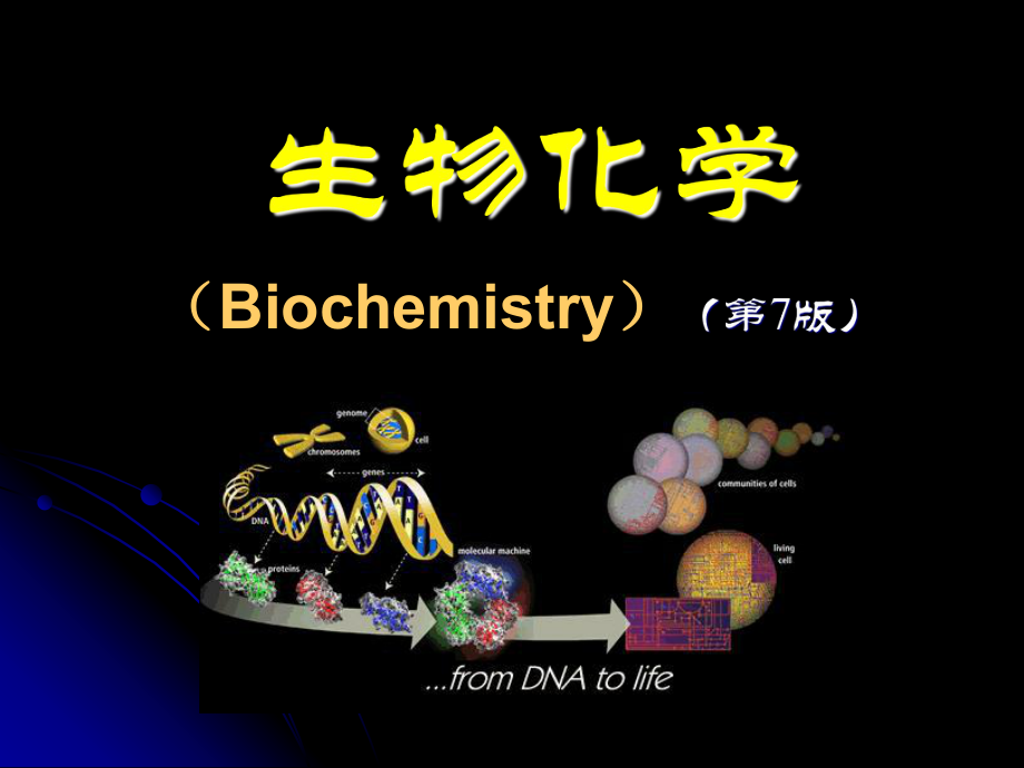 生物化学生物化学的发展史PPT资料共43页.ppt_第1页