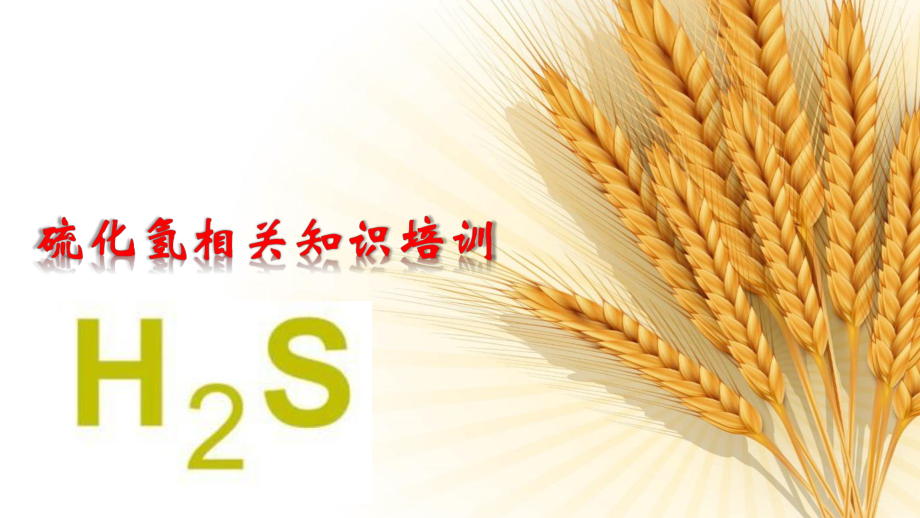 硫化氢培训课件.ppt_第1页