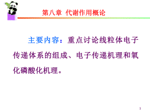 生物化学课件生物氧化.ppt
