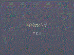 环境经济学11.ppt