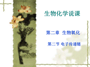 生物化学说课.ppt