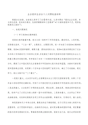 企业组织生活会个人对照检查材料.docx