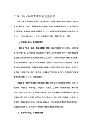市审计局大数据工作创新交流材料.docx