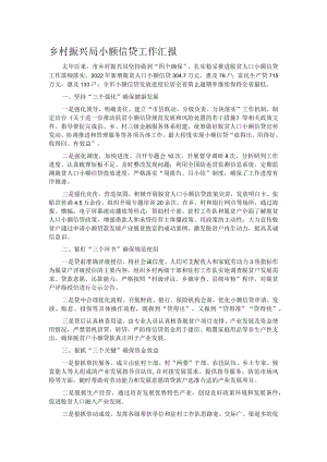 乡村振兴局小额信贷工作汇报.docx