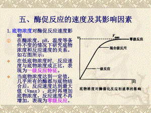 生物化学课件.ppt