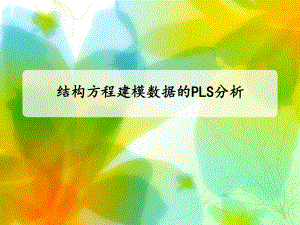 结构方程建模数据的PLS分析.ppt