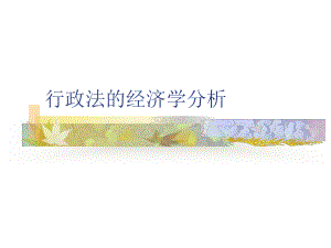 行政法的经济学分析.ppt