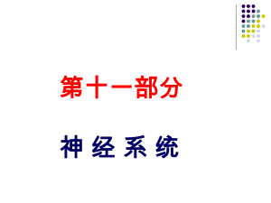 解剖生理学神经系统课件.ppt
