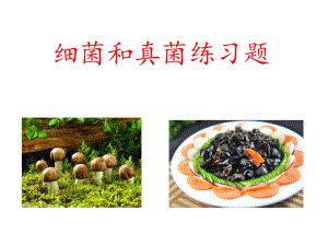 细菌真菌练习题.ppt