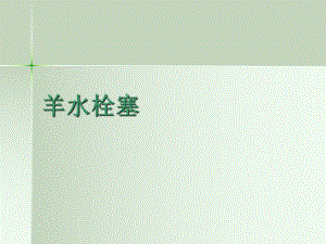 羊水栓塞ppt课件.ppt