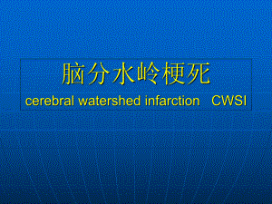 脑分水岭死课件.ppt