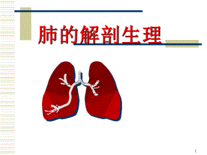 肺的解剖和生理.ppt
