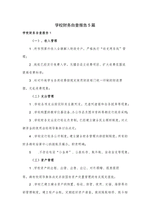 学校财务自查报告5篇.docx