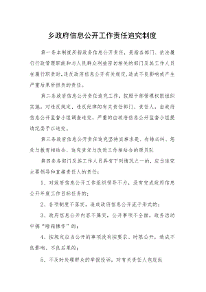 乡政府信息公开工作责任追究制度.docx