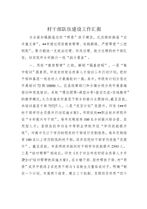 村干部队伍建设工作汇报.docx