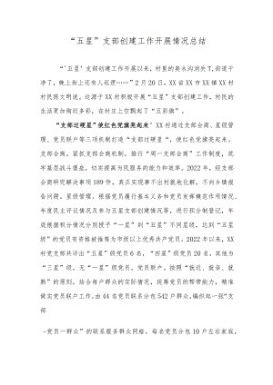 “五星”支部创建工作开展情况总结.docx