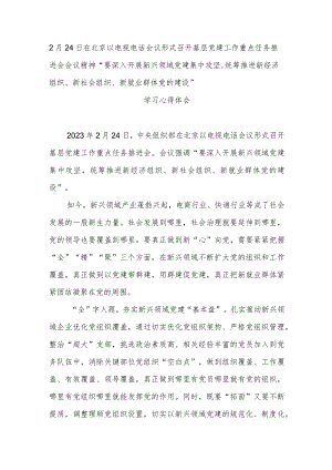 2月24日在北京以电视电话会议形式召开基层党建工作重点任务推进会会议精神“要深入开展新兴领域党建集中攻坚统筹推进新经济组织、新社会.docx