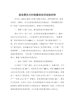 县发展壮大村级集体经济经验材料.docx