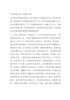 干部选拔任用工作情况汇报.docx