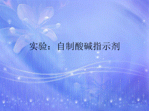 实验：自制酸碱指示剂实验报告.ppt