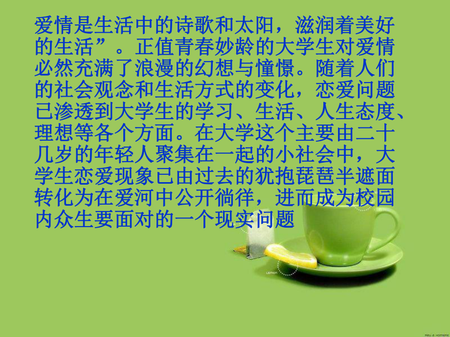 大学生婚恋观.ppt_第3页