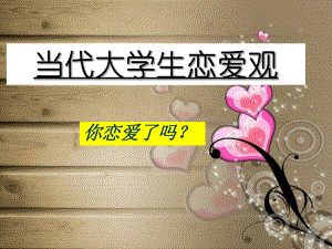 大学生婚恋观.ppt