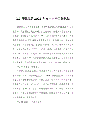 XX县财政局2022年安全生产工作总结.docx
