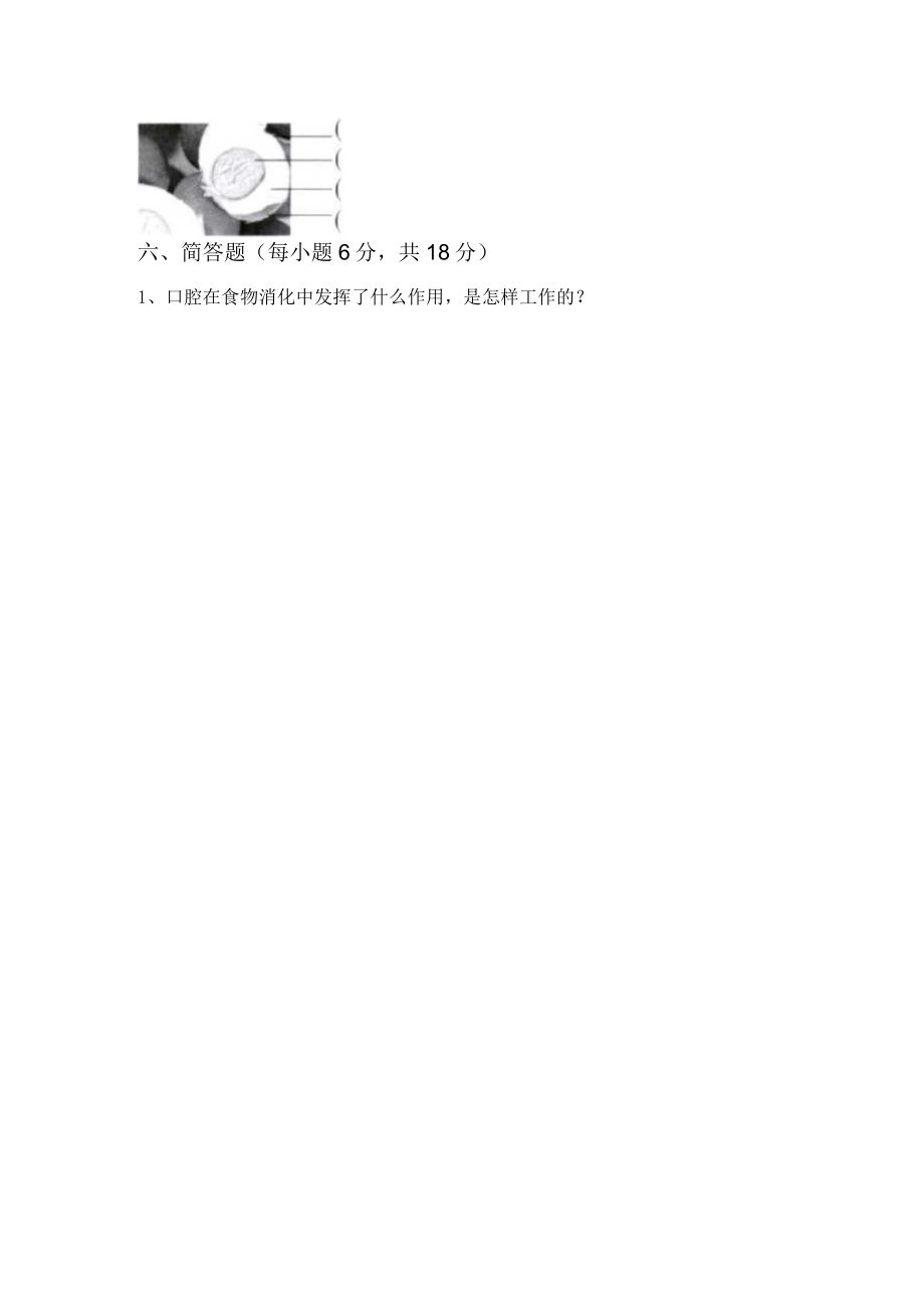 苏教版三年级科学上册月考考试卷【及参考答案】.docx_第3页