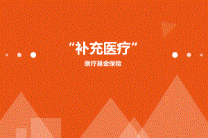 员工补充医疗医疗基金保险.ppt