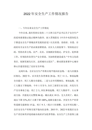 2022年安全生产工作情况报告.docx
