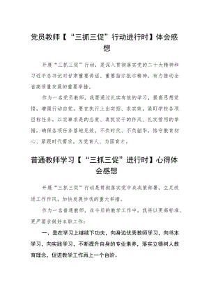 【三篇】党员教师【“三抓三促”行动进行时】体会感想.docx
