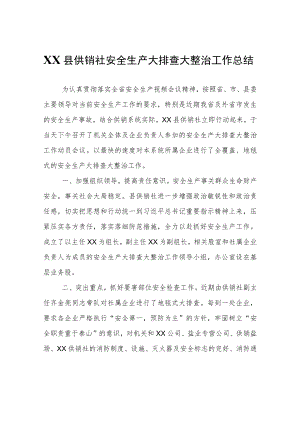 XX县供销社安全生产大排查大整治工作总结.docx