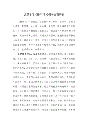2023年基层党员干部学习《榜样7》心得体会观后感5篇参考范文（九）.docx