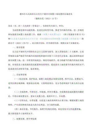 德州市人民政府办公室关于德州市闲置土地处置的实施意见.docx