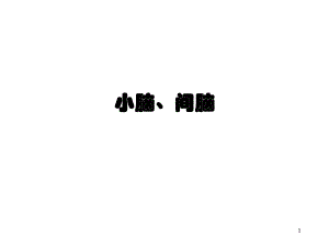 小脑间脑研究生.ppt