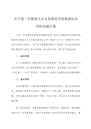 《公办义务教育学校集团化办学的实施方案》.docx