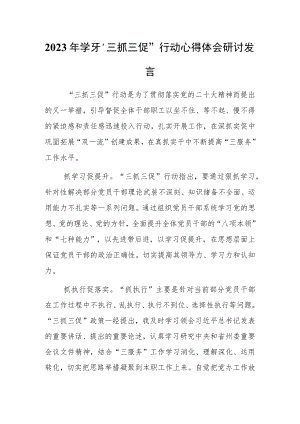 2023年学习“三抓三促”行动心得体会研讨发言材料.docx