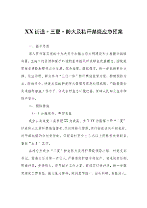 XX街道“三夏”防火及秸秆禁烧应急预案.docx