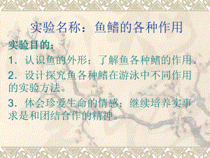 实验：鱼鳍的各种作用实验报告.ppt