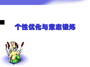 大学生个性心理.ppt