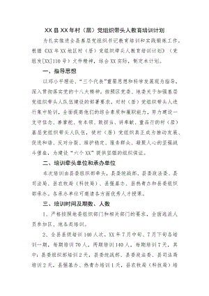 村（居）党组织带头人教育培训计划.docx