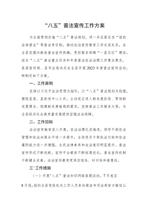 “八五”普法宣传工作方案范文.docx