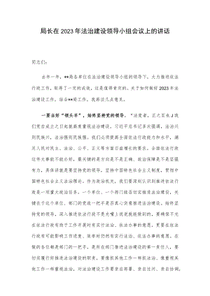 局长在2023年法治建设领导小组会议上的讲话.docx