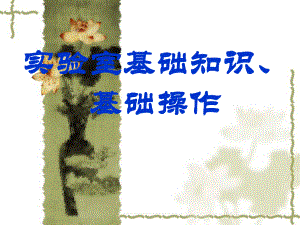 实验室基础知识基础操作.ppt