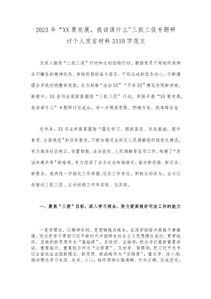 2023年“XX要发展我该谋什么”三抓三促专题研讨个人发言材料3110字范文.docx