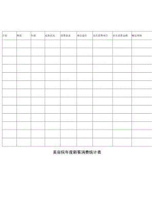 美容院全年新客消费统计表.docx
