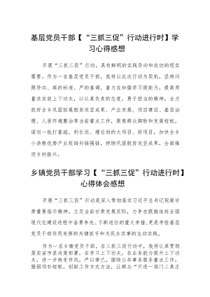 基层党员干部【“三抓三促”行动进行时】学习心得感想3篇.docx