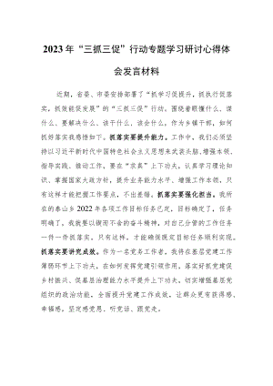 2023年“三抓三促”行动研讨学习心得体会（共3篇）.docx