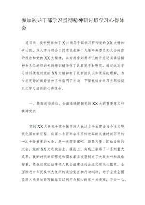 参加领导干部学习贯彻精神研讨班学习心得体会.docx