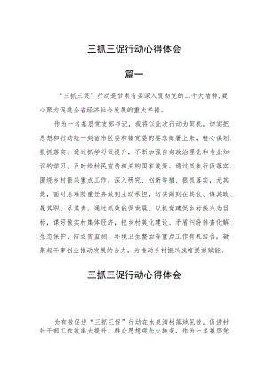 三抓三促行动心得体会10篇.docx